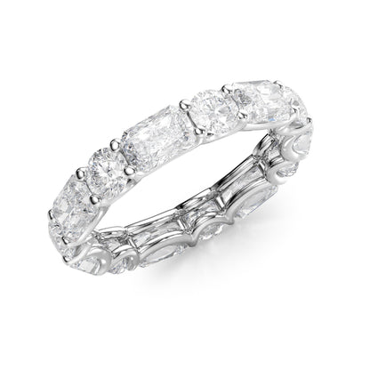 4.6ct Brigide Round Cut Moissanite Ring - Silver
