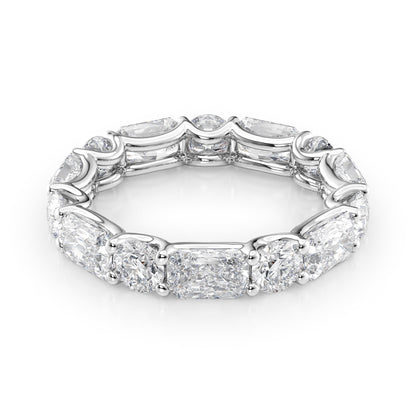 4.6ct Brigide Round Cut Moissanite Ring - Silver