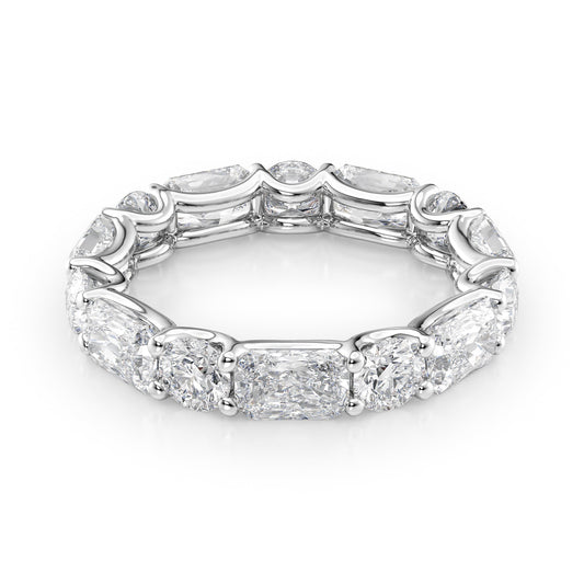 4.6ct Brigide Round Cut Moissanite Ring - Silver